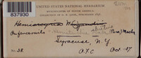 Image Associated With the Occurence